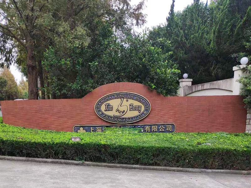 制药公司一角.jpg